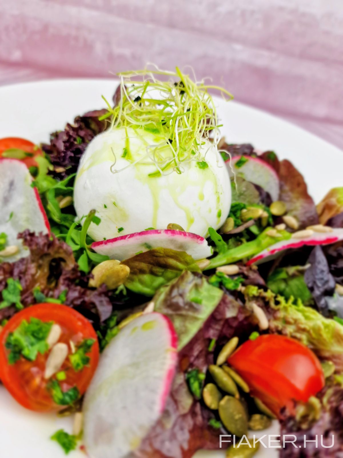 ! ÚJ ! Friss saláták, burráta sajt, pirított magvak, tökmagolaj öntet