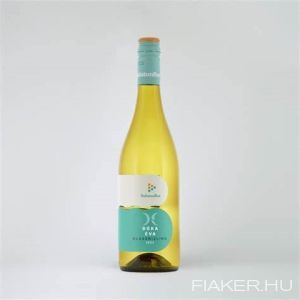 Dóka Éva - BalatonBor