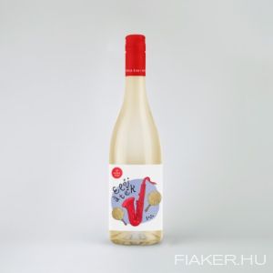 Dóka Éva - Előjáték